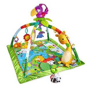 Fisher-Price Rainforest Music & Lights Deluxe Gym [Amazon Exclusive]
